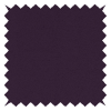 Maldive Violet